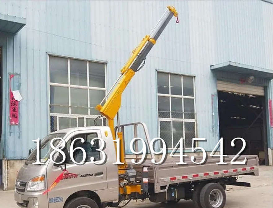 资阳区车载吊机改装起重机小型随车吊车载吊机小型蜘蛛吊改装小吊机220V